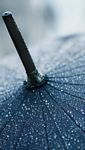 pic for water drop on umbrella 